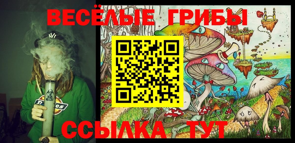 Галлюциногенные грибы Cubensis  Галлюциногенные грибы Psilocybine cubensis  Вход с VPN  Новозыбков 