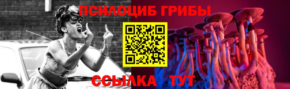 Галлюциногенные грибы Psilocybe Новозыбков